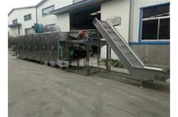 果蔬清洗機可以清洗哪些果蔬？